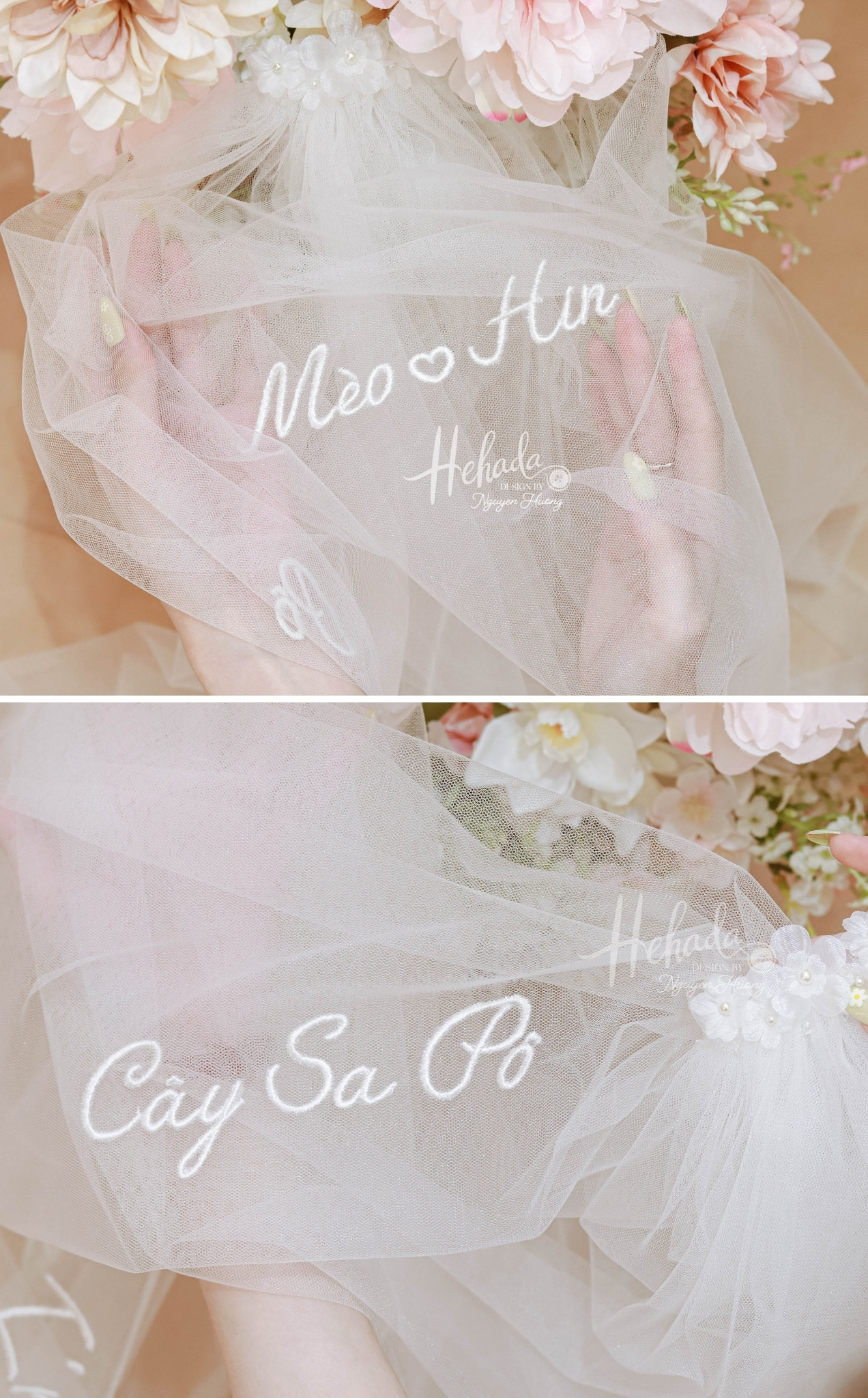 Cây sa pô 4